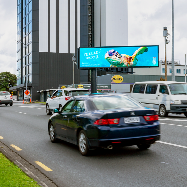 23 Screens in Auckland, 81 Screens Nationwide