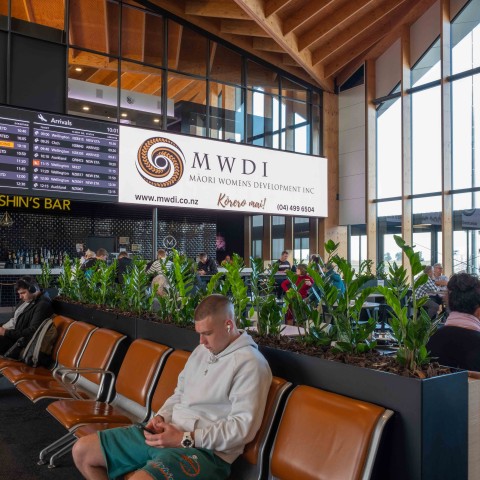 Good Impressions Spotlight on MWDI